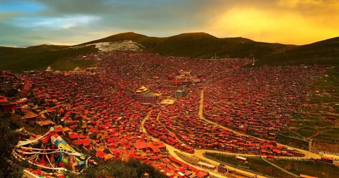 Serta | A Journey to a Tibetan Buddhist Pure Land