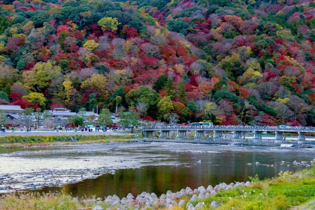 Kyoto Autumn Leaves | How Breathtakingly Beautiful Is the Maple Season? - Photo 22