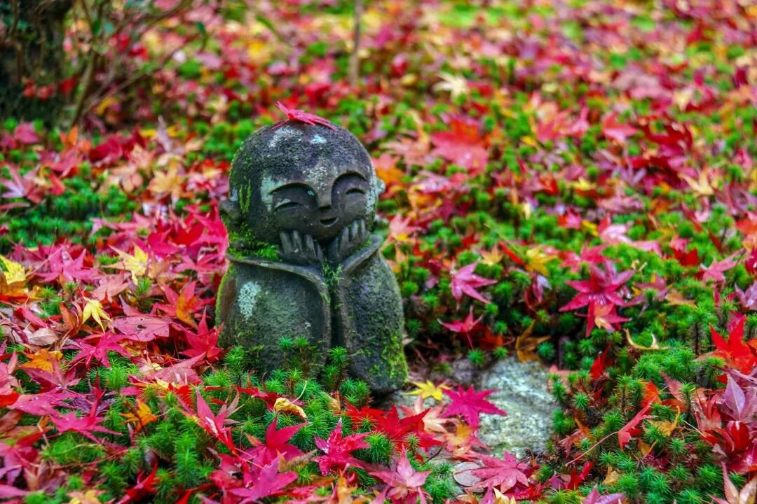 Kyoto Autumn Leaves | How Breathtakingly Beautiful Is the Maple Season? - Photo 9