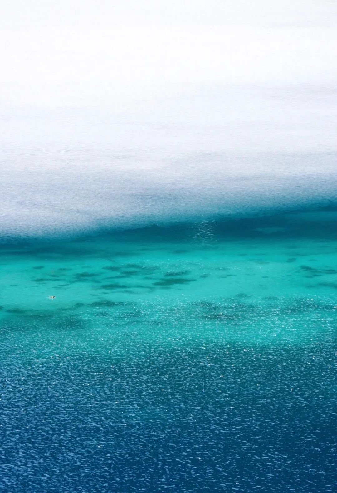 Jiuzhaigou | This Spring, Wander Into the Fairy Tale World - Photo 15