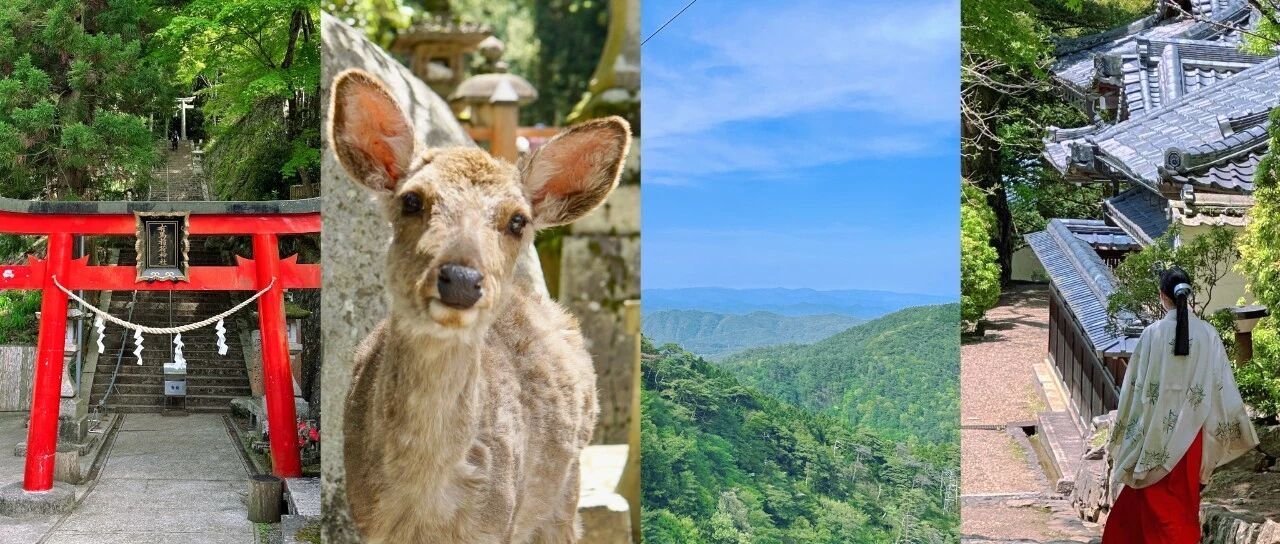Japan Kansai Travel Guide | 5 Days in Nara and Kobe