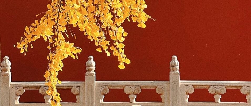 Beijing | Forbidden City CityWalk - 4km Unlocking 3 Famous Parks
