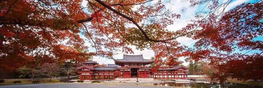Uji | You Only Know Real Matcha After Visiting Here - Photo 5