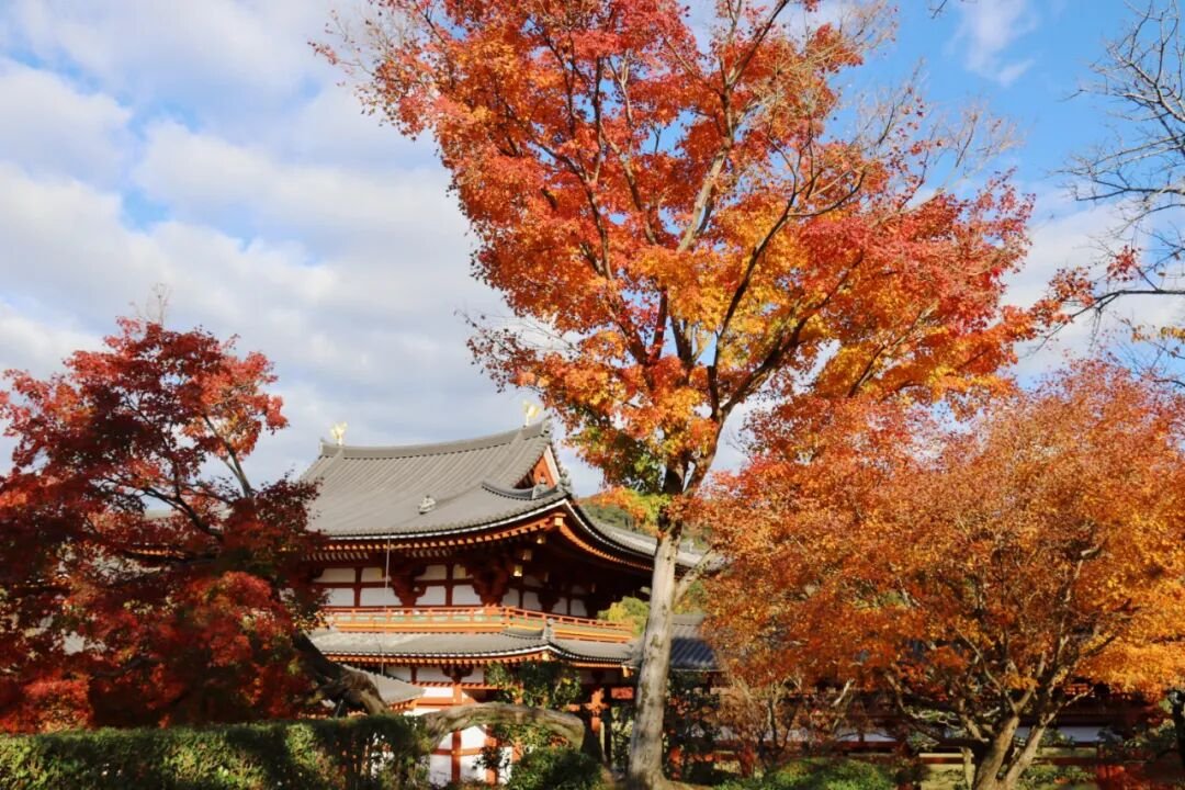 Uji | You Only Know Real Matcha After Visiting Here - Photo 7