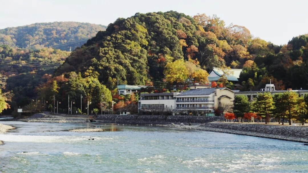 Uji | You Only Know Real Matcha After Visiting Here - Photo 16