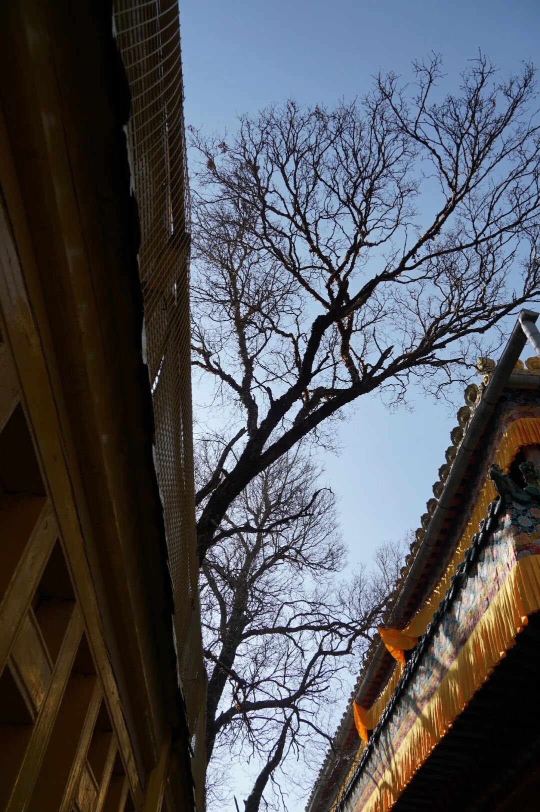 12 Hours in Xining | Half for Prayers at Kumbum Monastery, Half for Magical Creatures at  - Photo 22