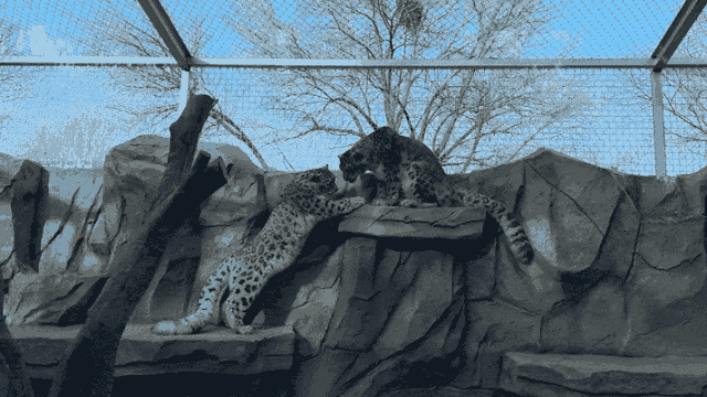 12 Hours in Xining | Half for Prayers at Kumbum Monastery, Half for Magical Creatures at  - Photo 7
