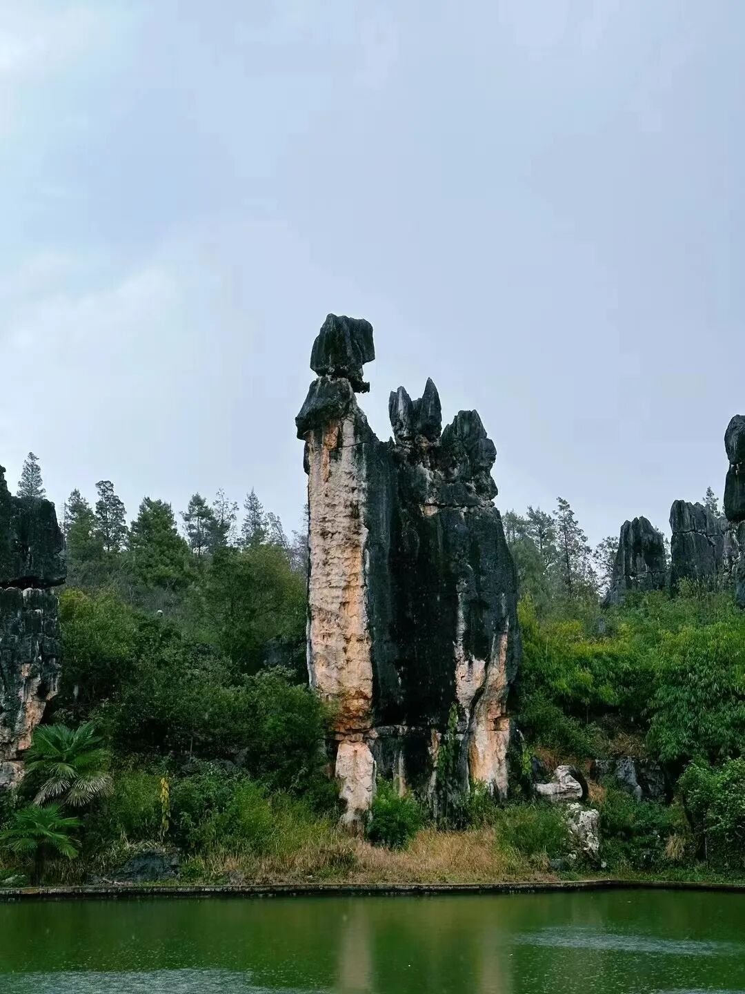 Stone Forest | Called  - Photo 10