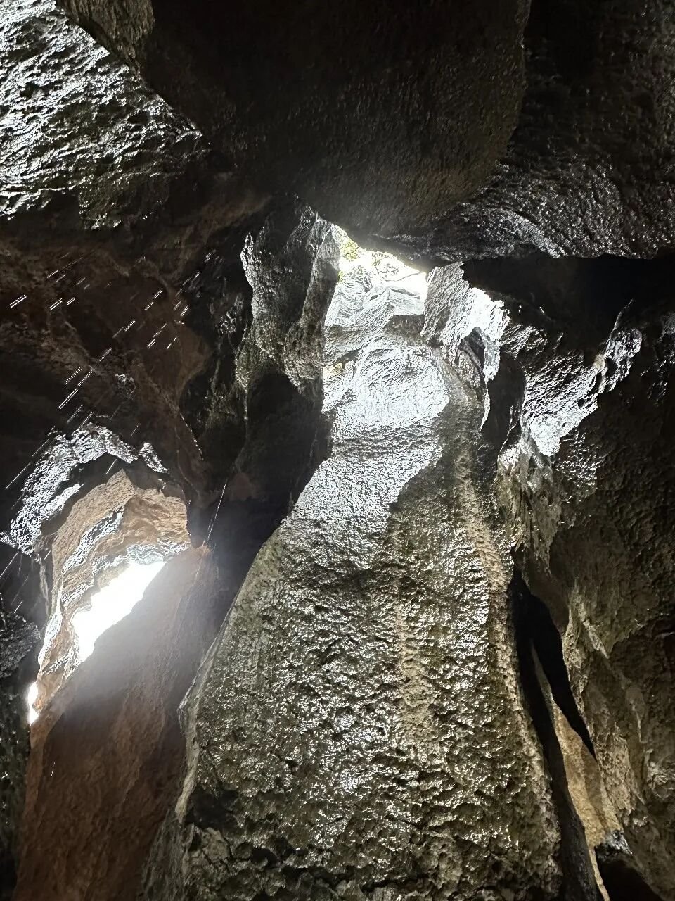 Stone Forest | Called  - Photo 21