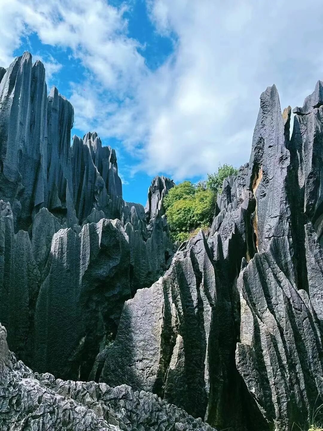 Stone Forest | Called  - Photo 23