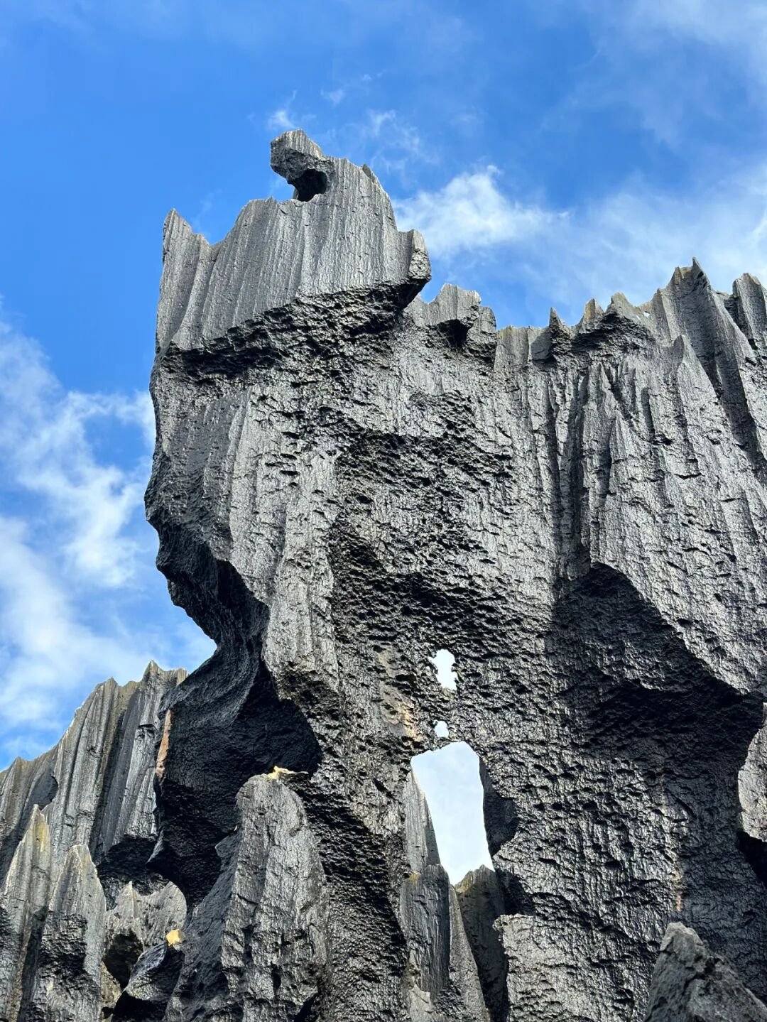Stone Forest | Called  - Photo 25