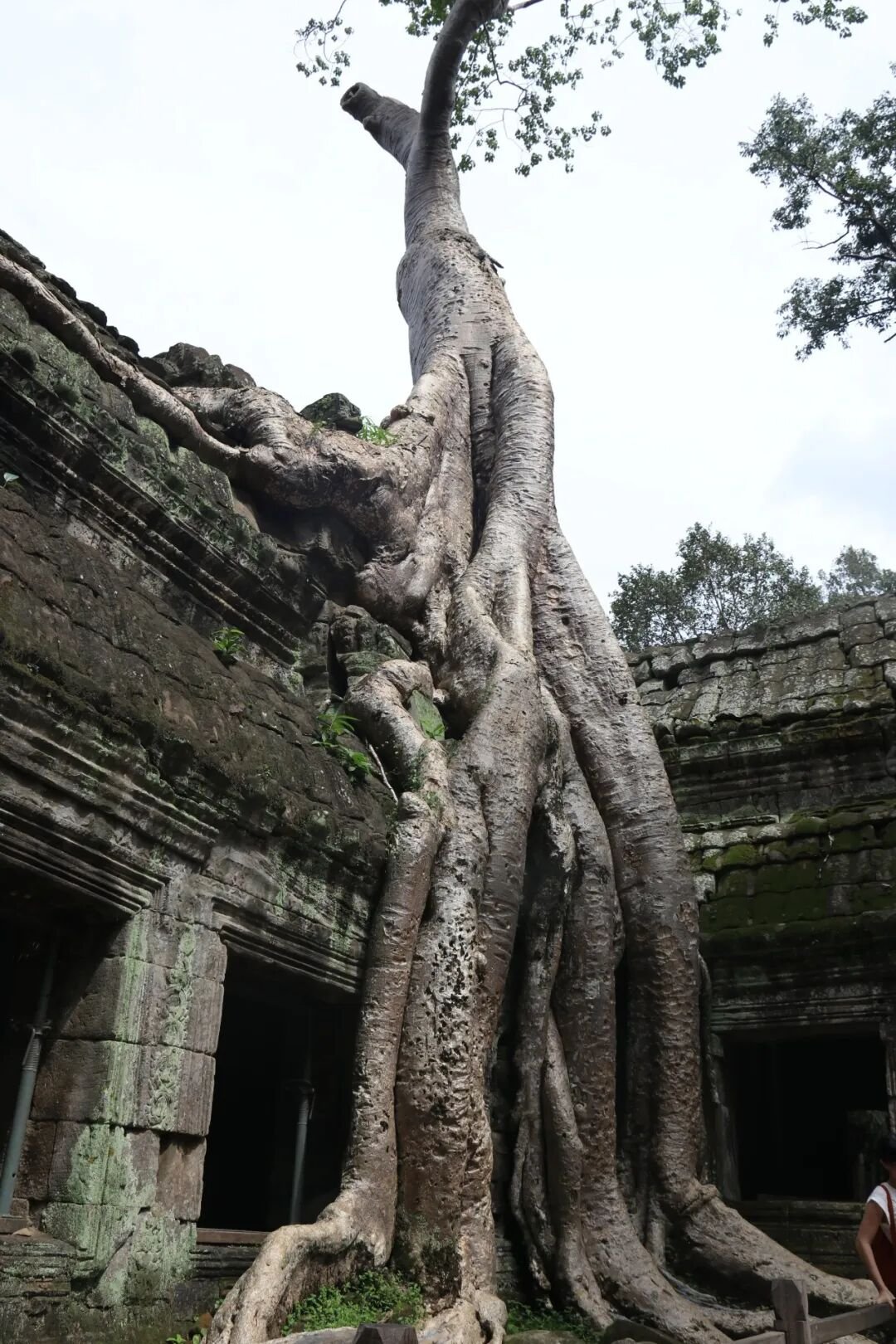 Cambodia | From Angkor Wat to Tonle Sap Lake — A Once-in-a-Lifetime Destination - Photo 13